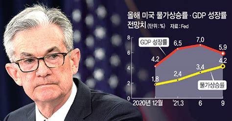 Fed 11월 테이퍼링시사美 금리인상 내년으로 당겨질듯 네이트 뉴스