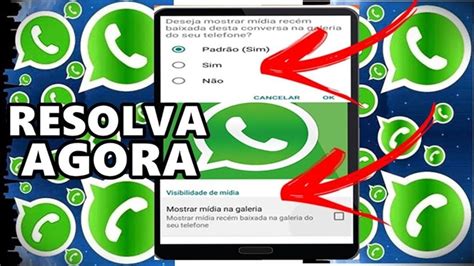 FOTOS E VÍDEOS DO WHATSAPP NÃO APARECEM NA GALERIA DO CELULAR VEJA