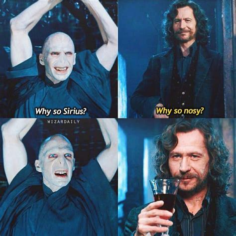 Why So Sirius Funny Harry Potter Jokes Harry Potter Memes