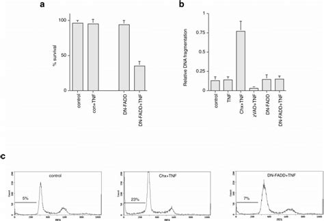 Transient Expression Of A Dominant Negative FADD Construct Sensitizes