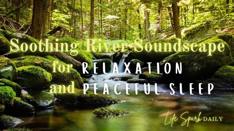 Tranquil River Serenity Hour Of Calming Stream Sounds Serene