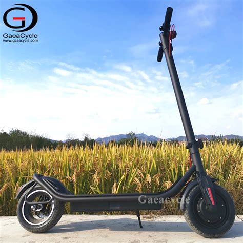 Private Model Inch Electric Self Balance Scooter With Disc Brake For