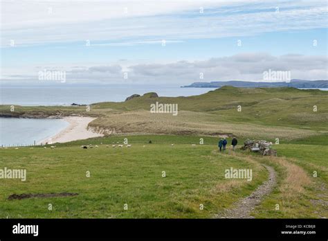 Shetland Islands Beach Breckon Beach Sands Of Breckon Yell