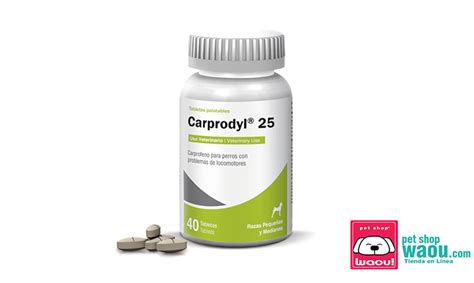 CARPRODYL 25 Carprofeno 25 Mg Antiinflamatorio 40 TAB Petshopwaou