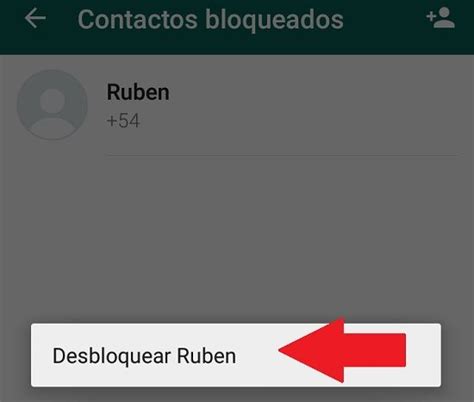 Cómo bloquear o eliminar usuarios en WhatsApp Tecnología Fácil