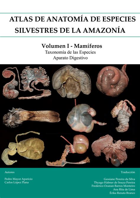 PDF ATLAS DE ANATOMÍA DE ESPECIES SILVESTRES DE LA AMAZONÍA Volumen I