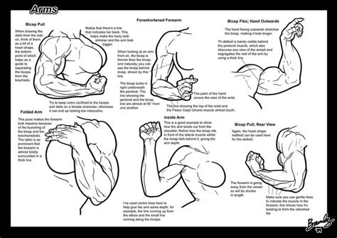 How To Draw Arms On A Body Graves Aftelly