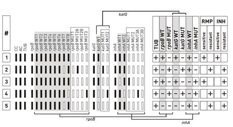 Interpretation Of FL LPA Examples Of Test Results Interpretation