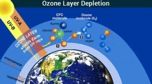 Causes Effects And Solutions To Ozone Layer Depletion