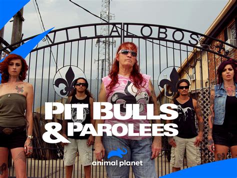 Watch Pit Bulls and Parolees Season 14 | Prime Video