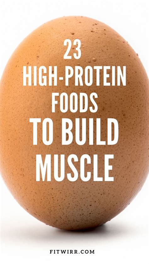 23 Best High Protein Foods for Muscle Gain and Fat Loss in 2024 | Food ...