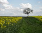 Le Site Des Bio En Bourgogne Le Domaine D Edouard Vins De Bourgogne