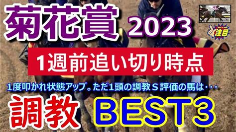 【菊花賞2023】1週前追い切り時点での調教best3 1度叩かれ状態が超上昇。ただ1頭のs評価馬は・・・【調教診断】 Youtube