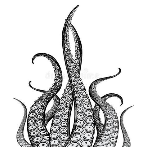 Tentacle Illustration Hand Drawn Illustration Of A Tentacles Sponsored Affiliate Ad