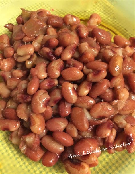 Seasoned Anasazi Beans in the Instant Pot – Michelle Home Scholar