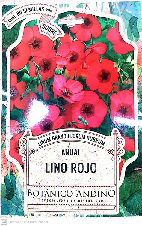 Lino Rojo Comprar En Vivero Antoniucci