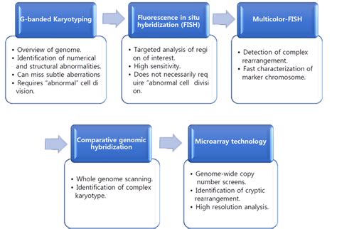 Comparison Of Technical Details Between Conventional Cytogenetic And Download Scientific