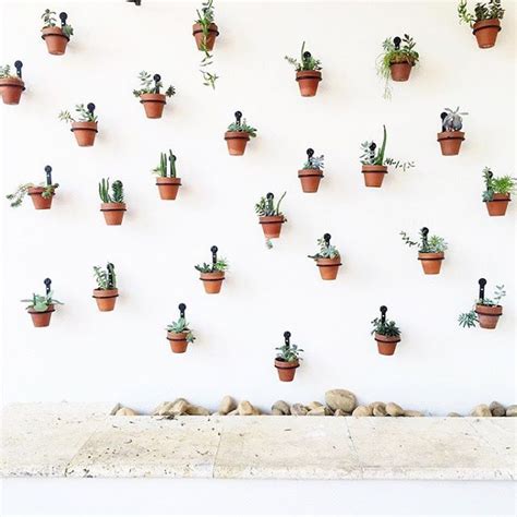 succulent wall | Succulent wall, Plant wall, Succulents