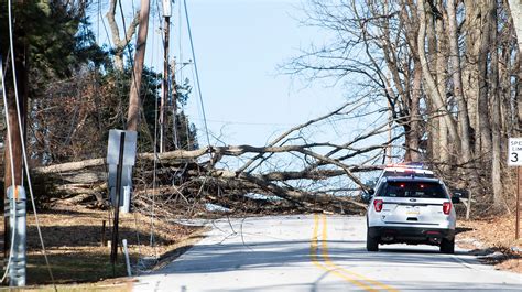 Fallen Tree Causes Power Outages And Closes Road