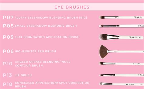 Praush Pcs Professional Basics Eye Brushes Set Amazon In Beauty