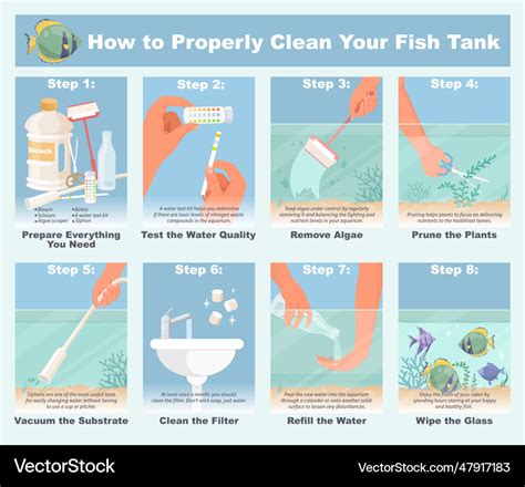 How Properly Clean Fish Tank Step By Step Vector Image