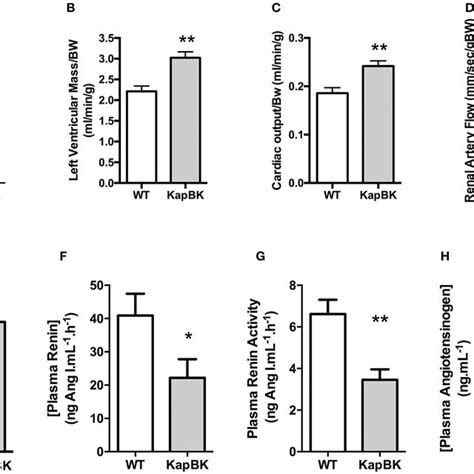 Cardiac And Renal Function Renin Angiotensin System A Left