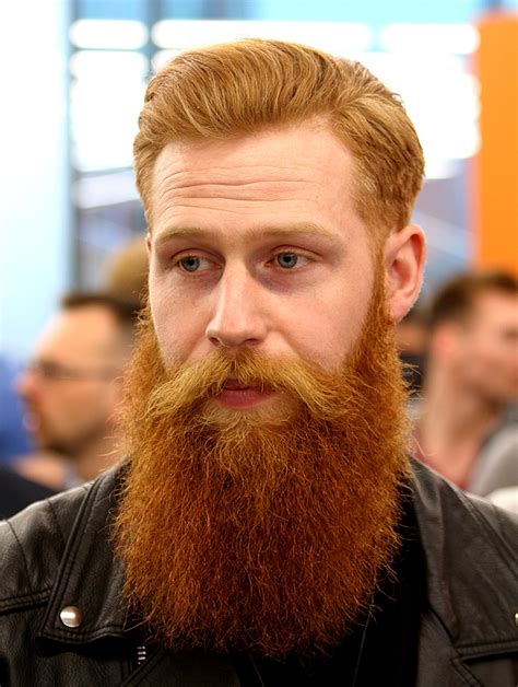 Bearditorium Gwilym ” Beard No Mustache Mens Hairstyles With Beard