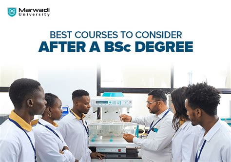 5 Best Career Options After A BSc Degree