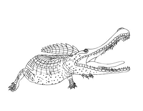 Sarcosuchus Prehistoric Crocodile Coloring Page Free Printable Porn