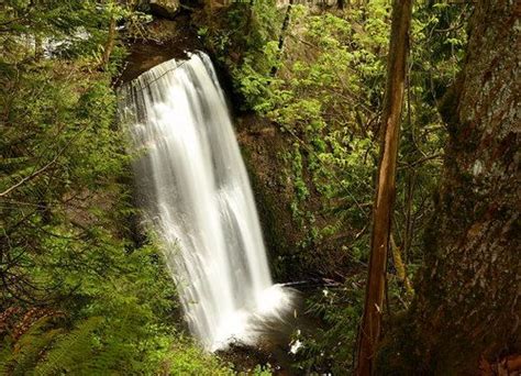 Distance between Maple Falls, WA and Bonney Lake, WA