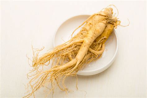 ginseng rouge et blanc différence bienfaits et propriétés du panax