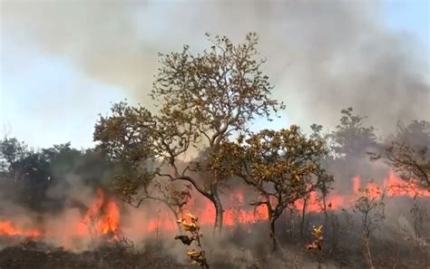 Peta Kebakaran Hutan Indonesia