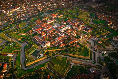 T N R De De Ani Din Alba Iulia Re Inut De Poli I Ti Dup Ce A