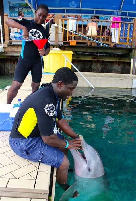 Shawn getting hydrated! Dolphin Encounters, Blue Lagoon Island, Bahamas ...