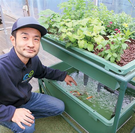 魚と野菜育てる「アクポニ」 “農業革命”藤沢から発信 藤沢 タウンニュース