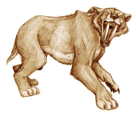 Smilodon Populator By Timacs On Deviantart