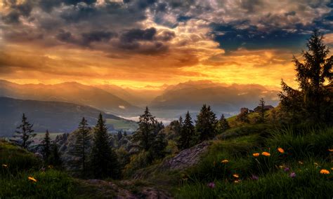 Sfondi Luce Del Sole Alberi Paesaggio Tramonto Fiori Collina