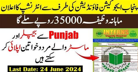 Pef Punjab Education Foundation Paid Internship Program