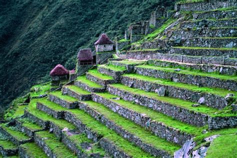 The Stepped Terraces Of Machu Picchu That Provided Sustenance For The