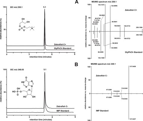 Identification Of Metabolites Using The Untargeted Metabolomics