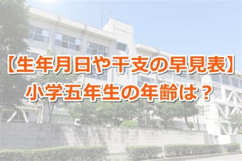 大学4年生って何歳？｜年齢・生年月日（生まれ年）の早見表 ｜ 教えたがりダッシュ！