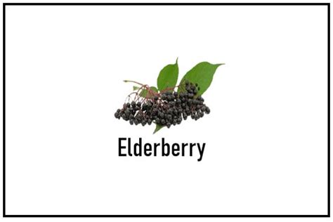 Top 100 Fruits Name With Pictures Fruit Names List EngDic Fruits