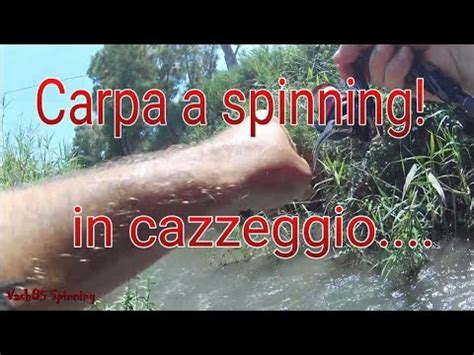 Spinning Alla Carpa In Cazzeggio YouTube