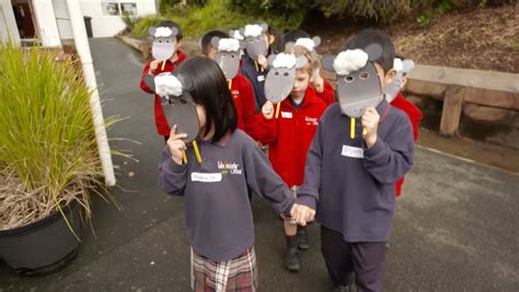 Seven Sharp meets Wool in Schools! - Campaign for Wool