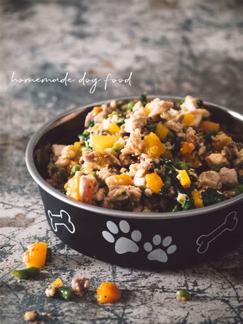 6 healthy dog food recipes are perfect for busy owners – Artofit