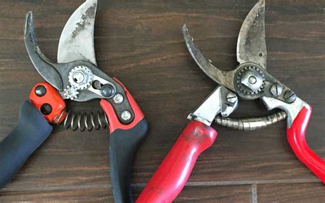 Best Hand Pruners Pruning Shears Guide Recommendations Gardening