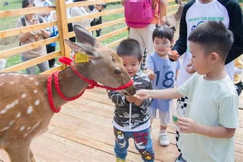 在金秋时节 “近”享“诗与远方” 长春文旅“出招” 破题秋季旅游腾讯新闻