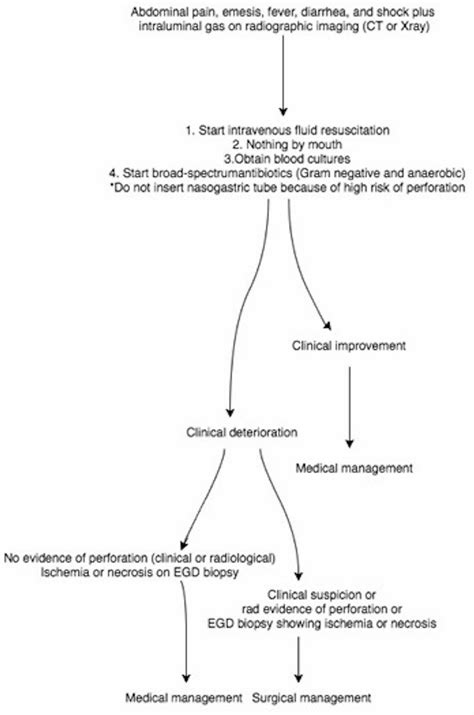 Role Of Conservative Management In Emphysematous Gastritis Bmj Case Reports