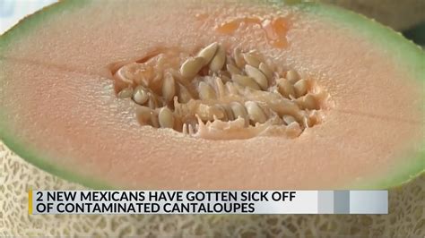 Cantaloupe Linked To Salmonella Outbreak In 34 States Including New