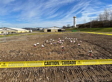 Horse Owners Speak Out About Tioga Downs Fire